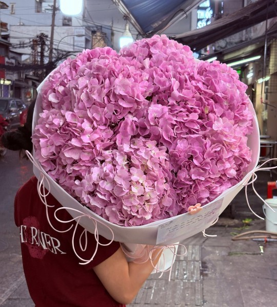 Hoa tươi - Cẩm Tú Cầu