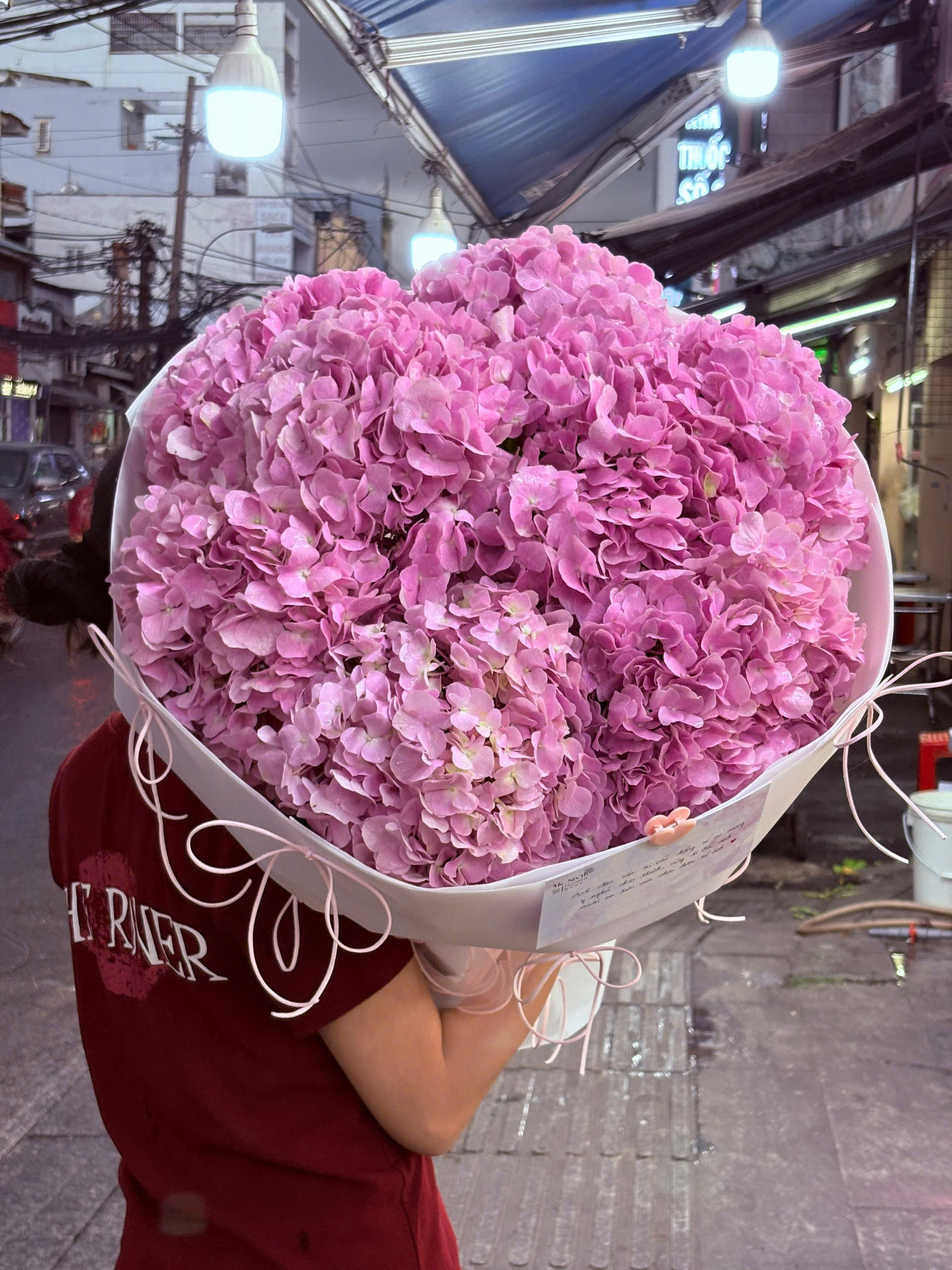 Hoa tươi - Cẩm Tú Cầu