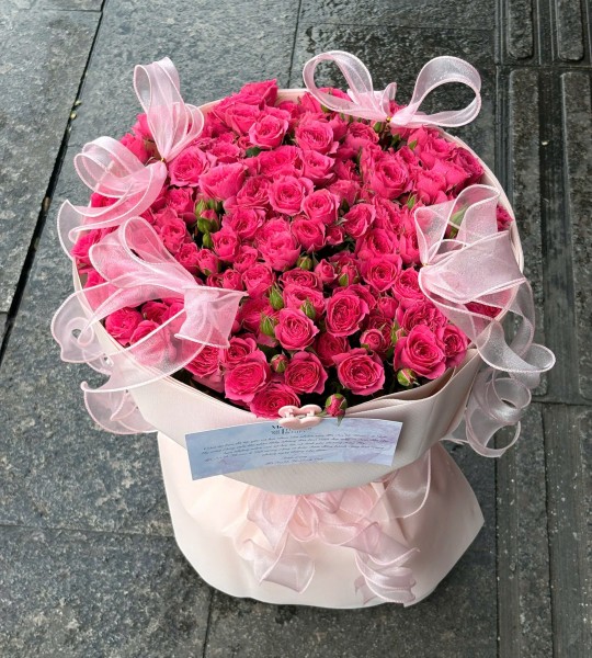 Hoa tươi - Hoa Hồng Chùm Sofia
