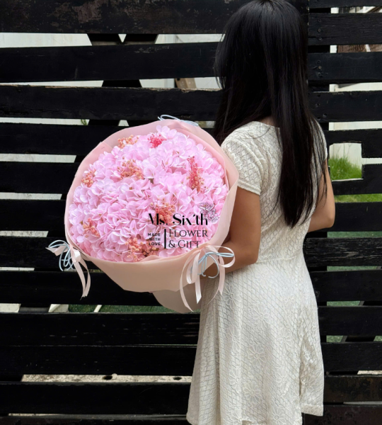 Cẩm Tú Cầu Mix Size S Tone Hồng