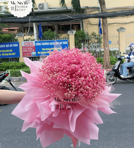 [BST] Hoa baby (Hoa bi khô) - Form giấy công chúa
