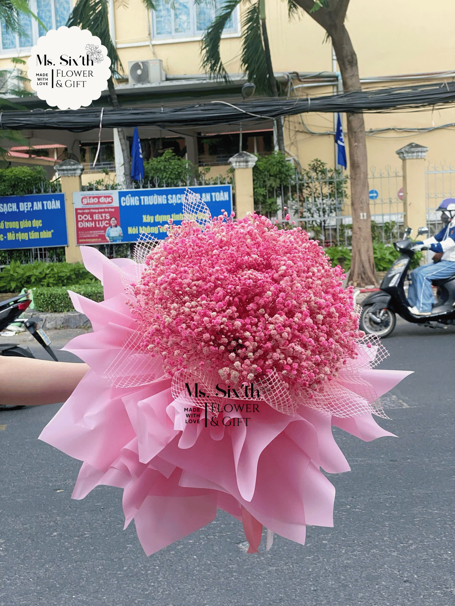 [BST] Hoa baby (Hoa bi khô) - Form giấy công chúa