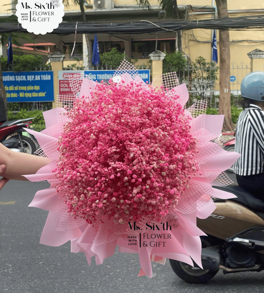 [BST] Hoa baby (Hoa bi khô) - Form giấy công chúa