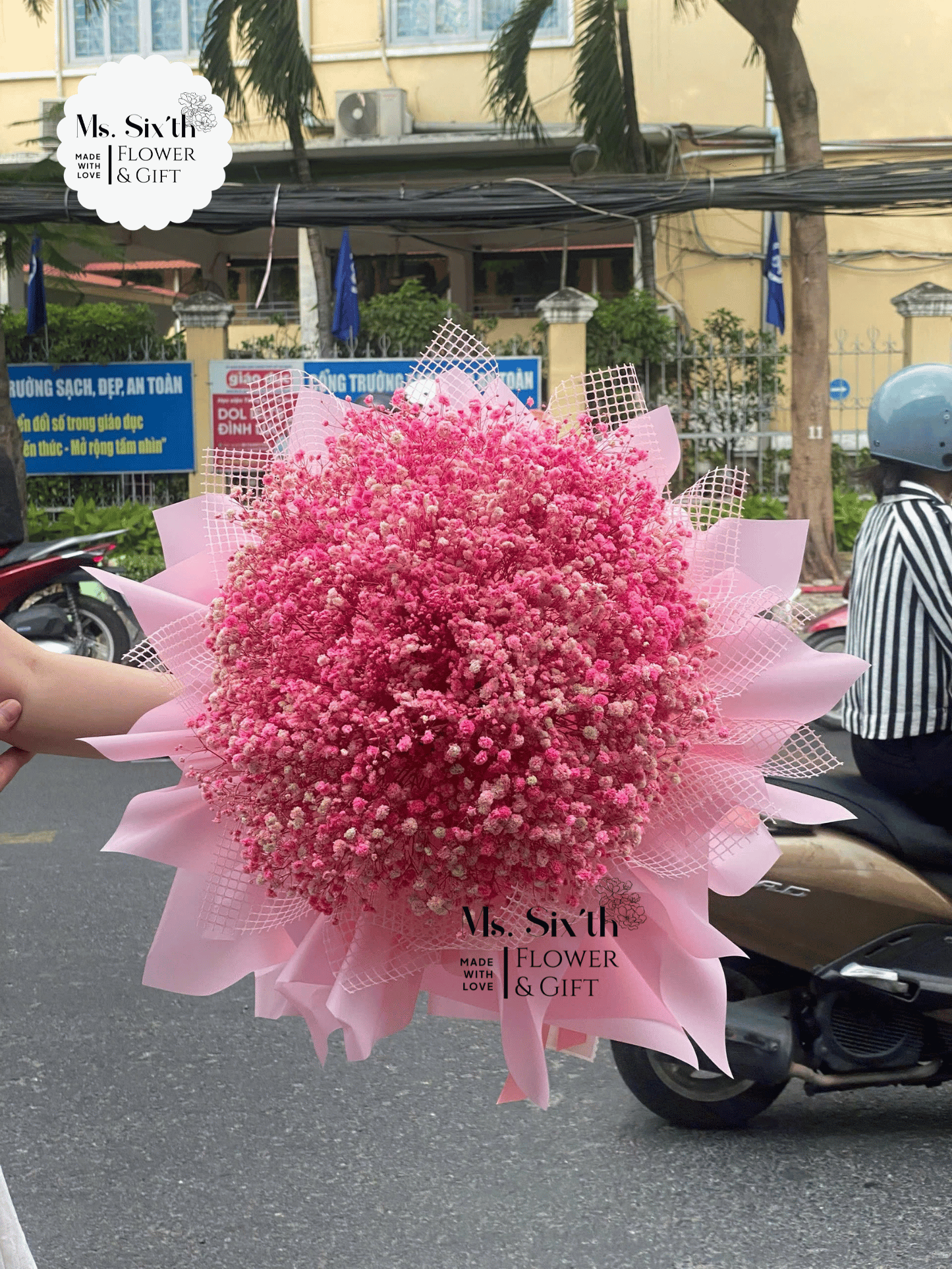 [BST] Hoa baby (Hoa bi khô) - Form giấy công chúa